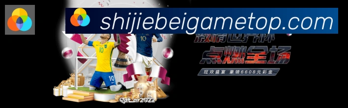 奖项证书